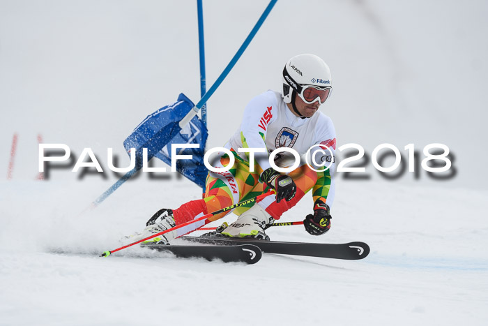 Int. FIS Rennen Herren, RS, Maria Alm 11.01.2018