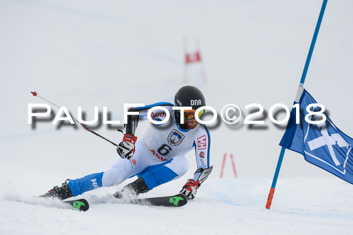 Int. FIS Rennen Herren, RS, Maria Alm 11.01.2018