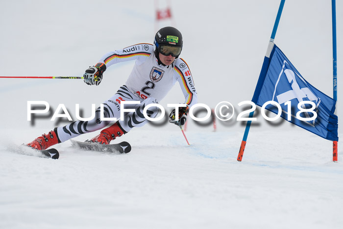 Int. FIS Rennen Herren, RS, Maria Alm 11.01.2018