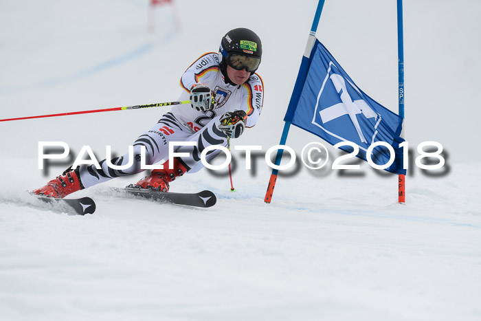 Int. FIS Rennen Herren, RS, Maria Alm 11.01.2018