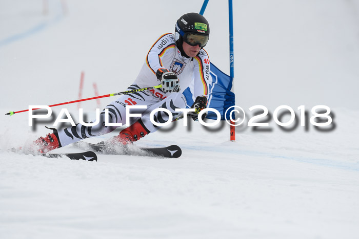 Int. FIS Rennen Herren, RS, Maria Alm 11.01.2018