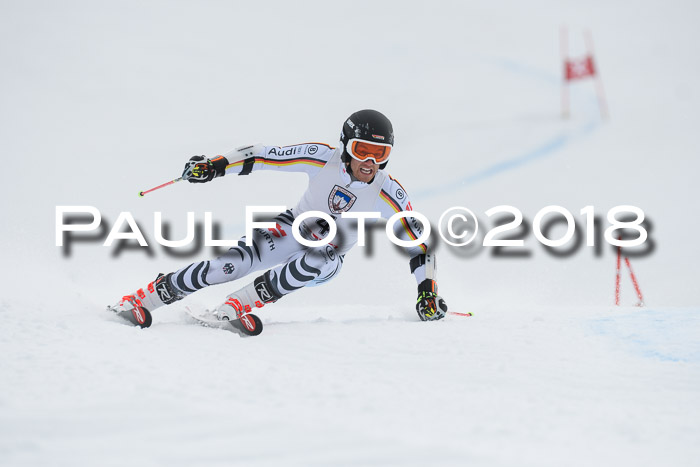 Int. FIS Rennen Herren, RS, Maria Alm 11.01.2018