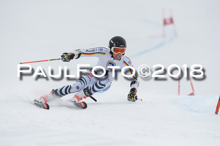 Int. FIS Rennen Herren, RS, Maria Alm 11.01.2018