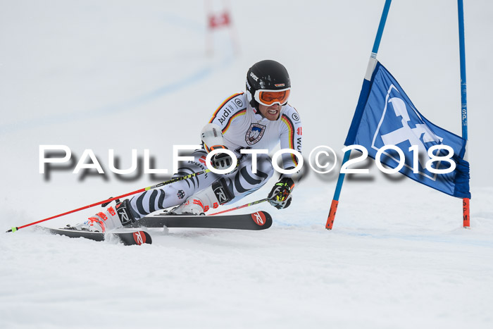 Int. FIS Rennen Herren, RS, Maria Alm 11.01.2018