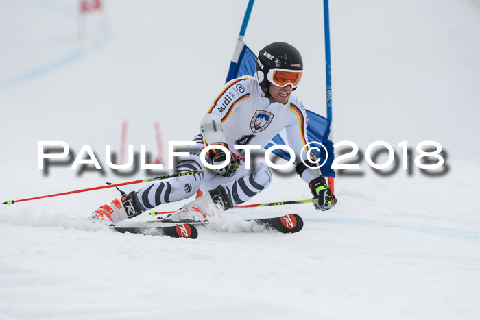 Int. FIS Rennen Herren, RS, Maria Alm 11.01.2018