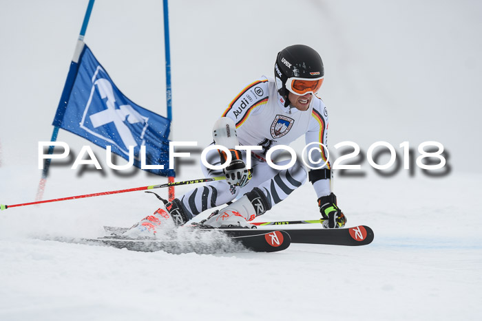 Int. FIS Rennen Herren, RS, Maria Alm 11.01.2018