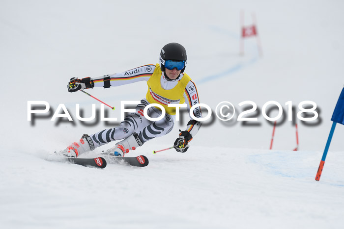Int. FIS Rennen Herren, RS, Maria Alm 11.01.2018