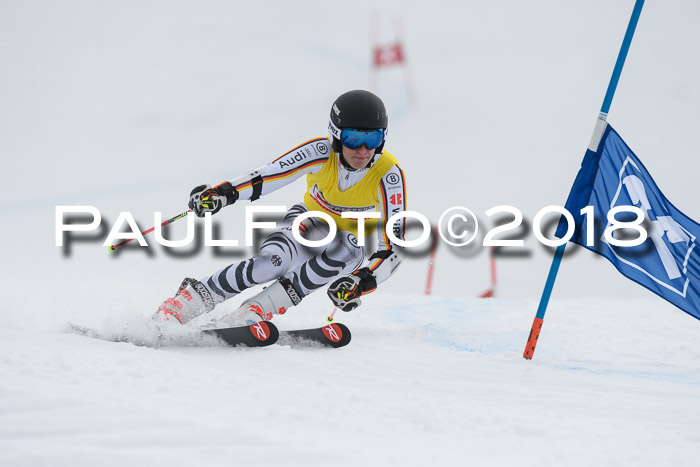 Int. FIS Rennen Herren, RS, Maria Alm 11.01.2018