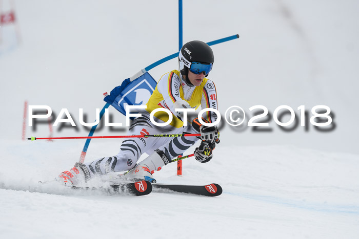 Int. FIS Rennen Herren, RS, Maria Alm 11.01.2018