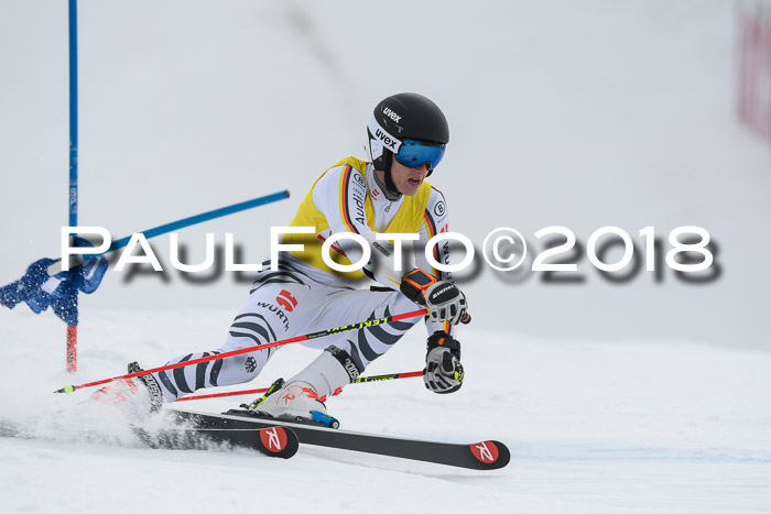 Int. FIS Rennen Herren, RS, Maria Alm 11.01.2018