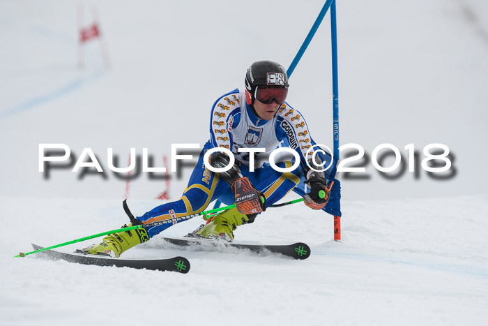 Int. FIS Rennen Herren, RS, Maria Alm 11.01.2018