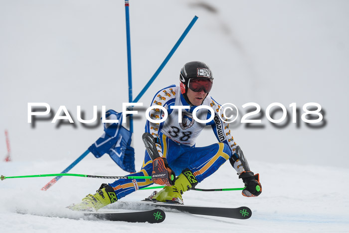 Int. FIS Rennen Herren, RS, Maria Alm 11.01.2018