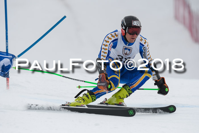 Int. FIS Rennen Herren, RS, Maria Alm 11.01.2018