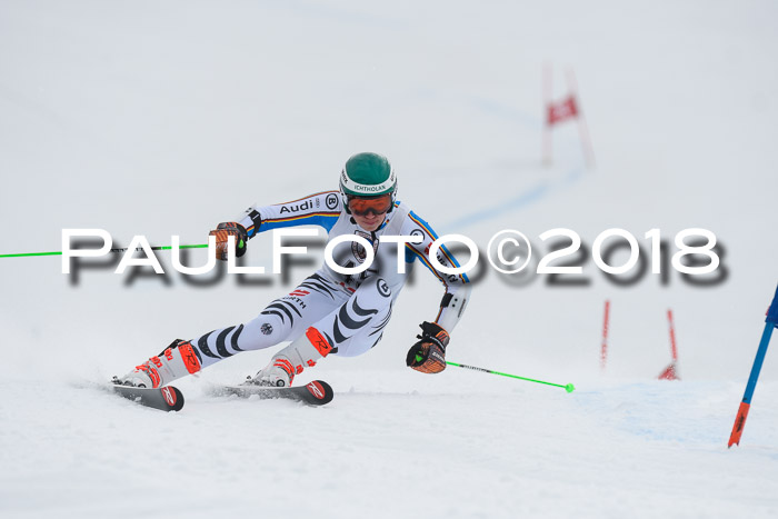 Int. FIS Rennen Herren, RS, Maria Alm 11.01.2018