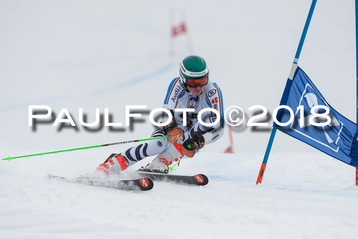 Int. FIS Rennen Herren, RS, Maria Alm 11.01.2018