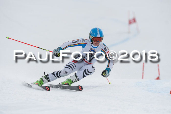 Int. FIS Rennen Herren, RS, Maria Alm 11.01.2018