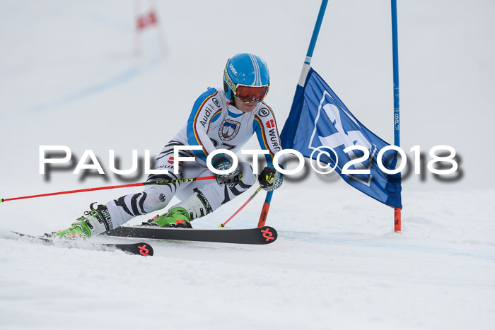 Int. FIS Rennen Herren, RS, Maria Alm 11.01.2018