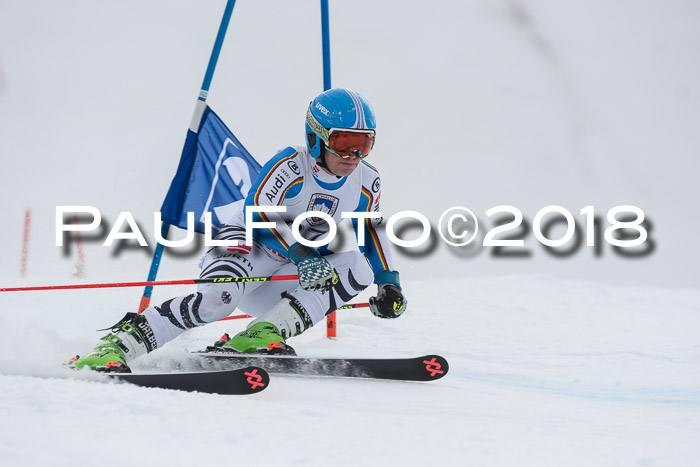 Int. FIS Rennen Herren, RS, Maria Alm 11.01.2018