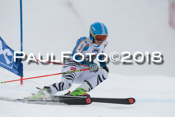 Int. FIS Rennen Herren, RS, Maria Alm 11.01.2018