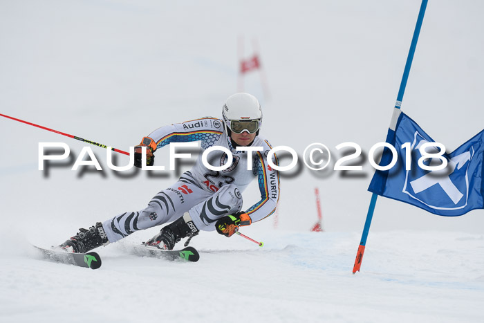 Int. FIS Rennen Herren, RS, Maria Alm 11.01.2018
