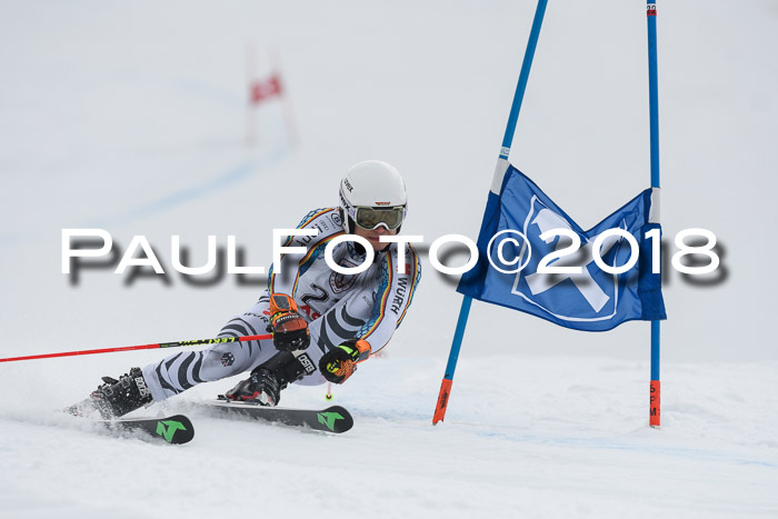 Int. FIS Rennen Herren, RS, Maria Alm 11.01.2018