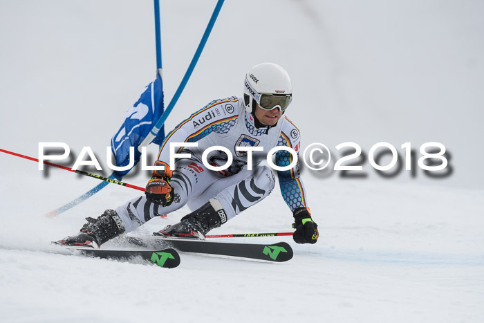 Int. FIS Rennen Herren, RS, Maria Alm 11.01.2018