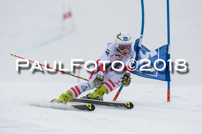 Int. FIS Rennen Herren, RS, Maria Alm 11.01.2018