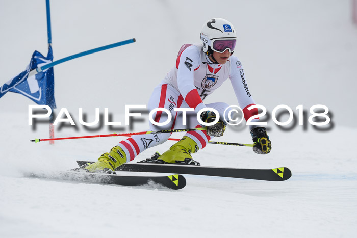 Int. FIS Rennen Herren, RS, Maria Alm 11.01.2018
