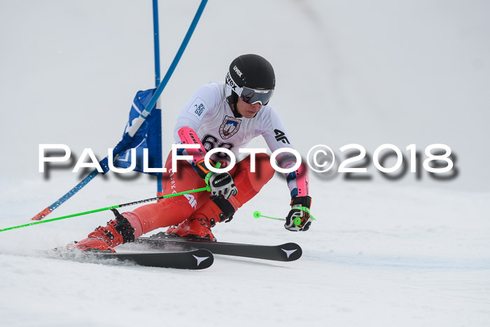 Int. FIS Rennen Herren, RS, Maria Alm 11.01.2018
