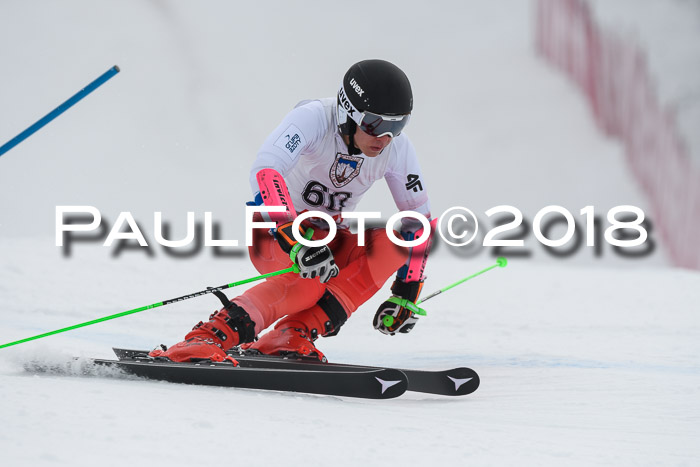 Int. FIS Rennen Herren, RS, Maria Alm 11.01.2018