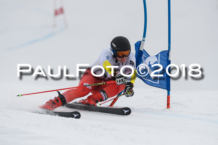 Int. FIS Rennen Herren, RS, Maria Alm 11.01.2018