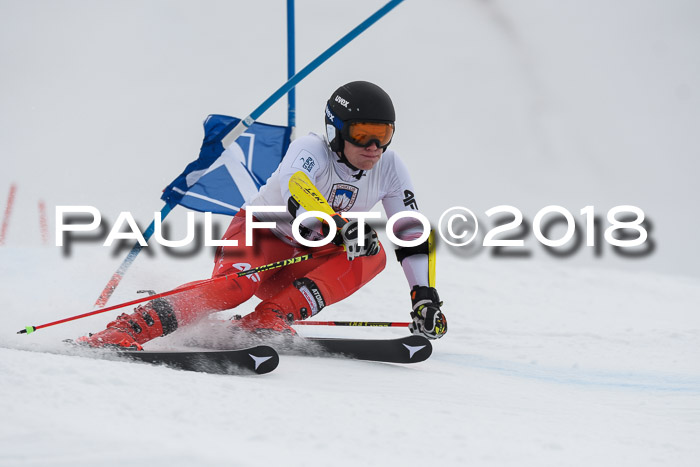 Int. FIS Rennen Herren, RS, Maria Alm 11.01.2018