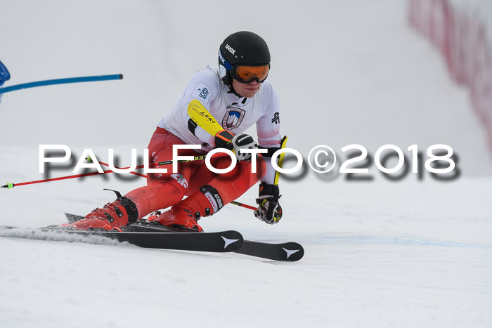 Int. FIS Rennen Herren, RS, Maria Alm 11.01.2018