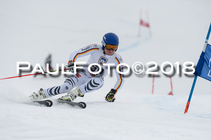 Int. FIS Rennen Herren, RS, Maria Alm 11.01.2018