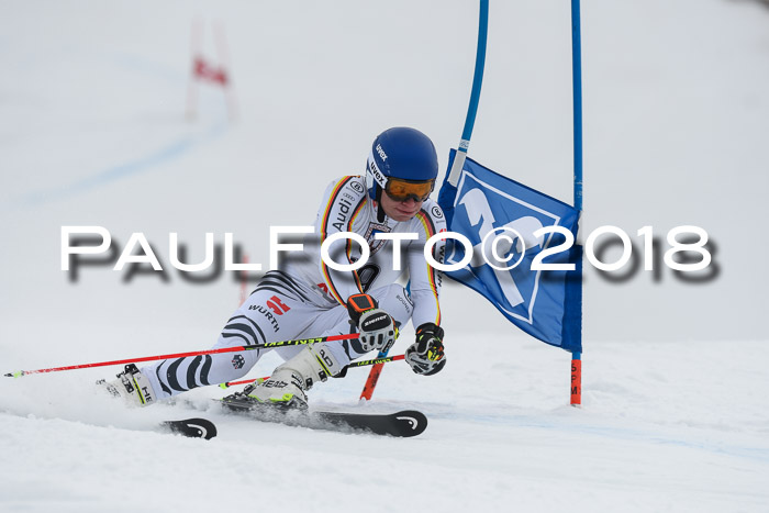 Int. FIS Rennen Herren, RS, Maria Alm 11.01.2018
