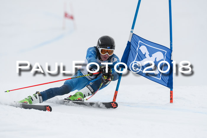 Int. FIS Rennen Herren, RS, Maria Alm 11.01.2018