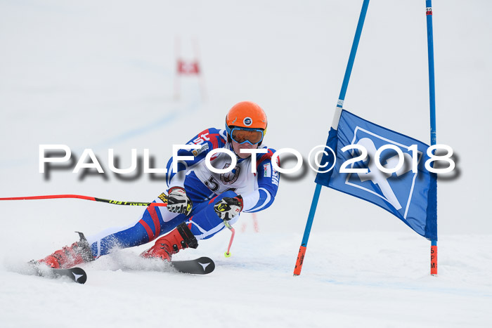 Int. FIS Rennen Herren, RS, Maria Alm 11.01.2018