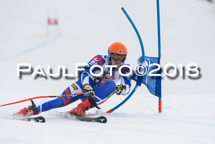Int. FIS Rennen Herren, RS, Maria Alm 11.01.2018