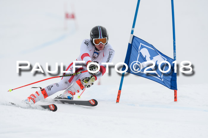 Int. FIS Rennen Herren, RS, Maria Alm 11.01.2018