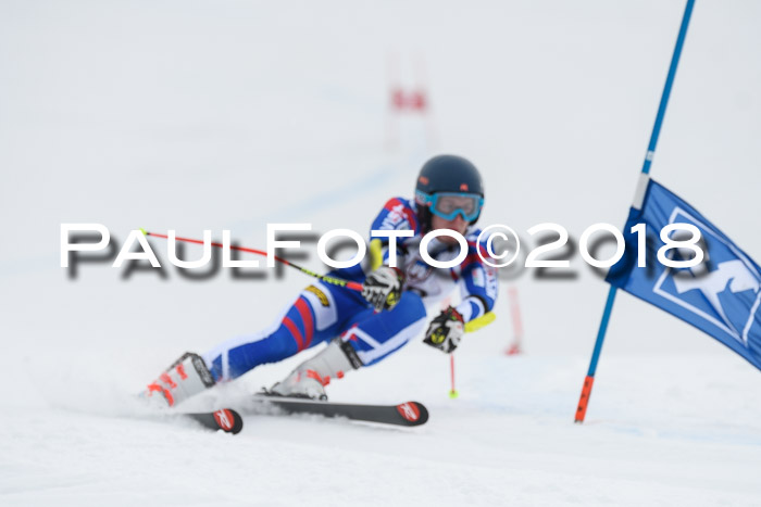 Int. FIS Rennen Herren, RS, Maria Alm 11.01.2018