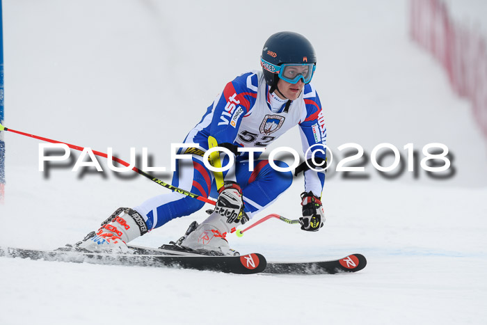 Int. FIS Rennen Herren, RS, Maria Alm 11.01.2018