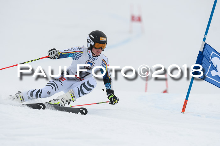 Int. FIS Rennen Herren, RS, Maria Alm 11.01.2018