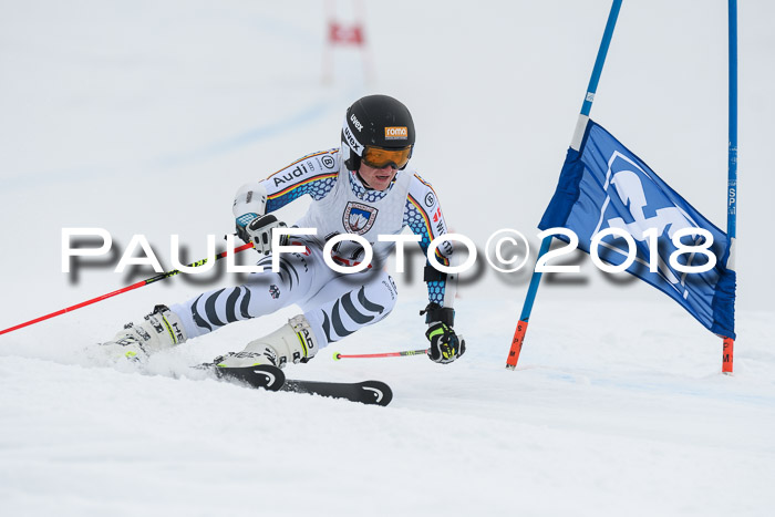 Int. FIS Rennen Herren, RS, Maria Alm 11.01.2018