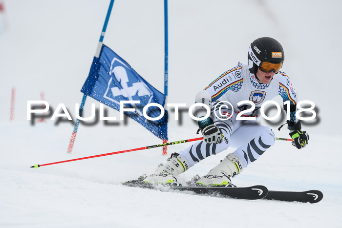 Int. FIS Rennen Herren, RS, Maria Alm 11.01.2018