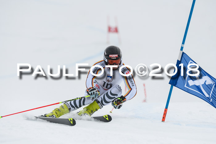 Int. FIS Rennen Herren, RS, Maria Alm 11.01.2018