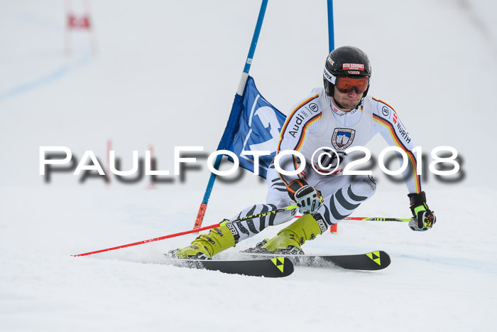 Int. FIS Rennen Herren, RS, Maria Alm 11.01.2018