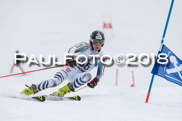 Int. FIS Rennen Herren, RS, Maria Alm 11.01.2018