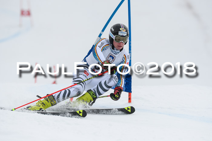 Int. FIS Rennen Herren, RS, Maria Alm 11.01.2018