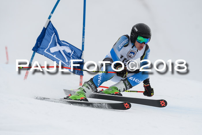 Int. FIS Rennen Herren, RS, Maria Alm 11.01.2018