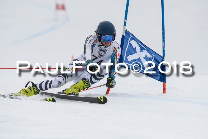Int. FIS Rennen Herren, RS, Maria Alm 11.01.2018